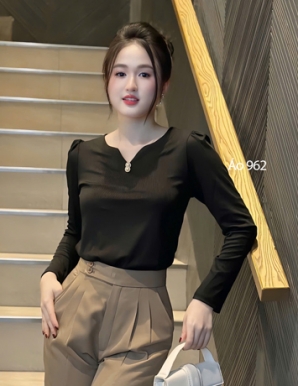 Áo thun Tay dài màu Đen - E962